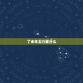 丁未年五行属什么，19670208属啥？