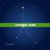 1999年属兔一生运势，1999年属兔人的命运