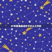 87年属兔最适合干什么工作的 属兔从事什么行业最佳
