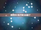 胸前的小兔子都立起来了，描写兔子动作的句子有哪些？