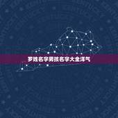 罗姓名字男孩名字大全洋气，罗姓男孩起名字大全