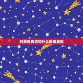 时辰属狗男和什么属相最配，两个人都属狗在一起合适吗