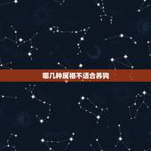 哪几种属相不适合养狗，为什么都说狗死后不能埋？是否有科学依据？