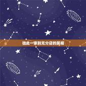 独此一家别无分店的属相，独此一家别无分店，是什么生肖