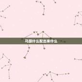 马跟什么配出来什么，单身女为什么养公大狗