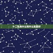 十二生肖什么和什么配最好，什么属相配属相最好