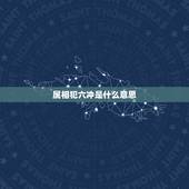 属相犯六冲是什么意思，年份属相犯六冲什么意思