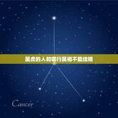 属虎的人和哪行属相不能结婚，属虎的和属猴的不能结婚吗