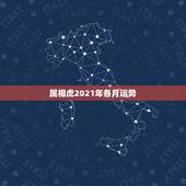 属相虎2021年各月运势，2021年运势有谁熟悉？想了解运势情况。