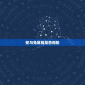 蛇与兔属相是否相配，属兔的婚姻配对表