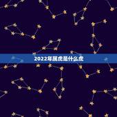2022年属虎是什么虎，2022年属虎不要几月生