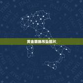 黄金貔貅吊坠图片，黄金貔貅吊坠图片是怎样的，在哪请呢？