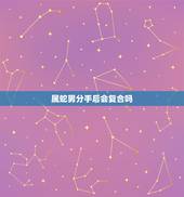 属蛇男分手后会复合吗，属蛇的分手后还会复合吗