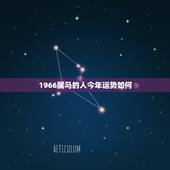 1966属马的人今年运势如何，66年属马的婚姻