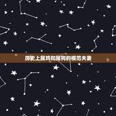 历史上属鸡和属狗的模范夫妻，有没有，属鸡和属狗，结婚过的很幸福的例子？