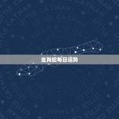 生肖蛇每日运势，生肖蛇今日财运和其他运势