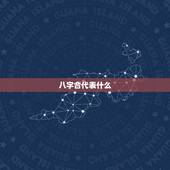八字合代表什么，帮忙算两人八字是否合适，合财吗？