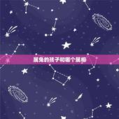 属兔的孩子和哪个属相，请问大师两个属兔的人生什么属相的孩子好，谢谢了