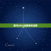 属马2022运程每月运势，2021年属马的全年每月运势