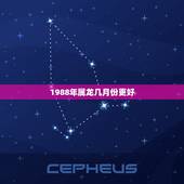 1988年属龙几月份更好，1988年几月出生的人更好