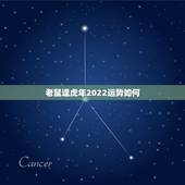 老鼠逢虎年2022运势如何 属鼠女人有多厉害