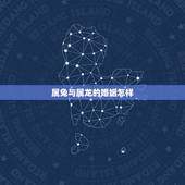 属兔与属龙的婚姻怎样，属鼠和属虎的婚姻怎么样