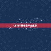 龙和牛属相合不合生意，天珠佩戴禁忌与属相
