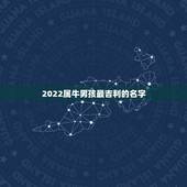 2022属牛男孩最吉利的名字，2021属牛男孩最吉利的名字？
