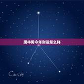 属牛男今年财运怎么样，属牛的今年财运如何