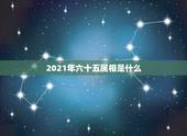2021年六十五属相是什么，2021是什么年什么属性