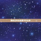属蛇正月出生属于什么命，属蛇1977年四十以后命