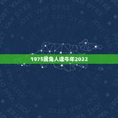 1975属兔人逢牛年2022，75年属兔何时走大运