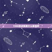 1988应该佩戴什么属相好，1988年男配什么属相好运
