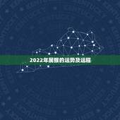 2022年属猴的运势及运程，2022年属猴的运势