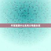 牛宝宝跟什么生肖父母最合适，父母属牛生个什么属相的宝宝，八字比较合