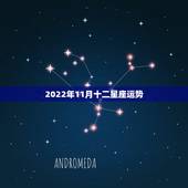 2022年11月十二星座运势，12星座运势2014.11月