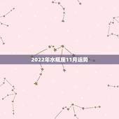 2022年水瓶座11月运势，2021年水瓶座下半年运势？