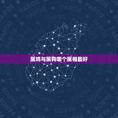 属鸡与属狗哪个属相最好，属鸡的和属狗的买什么属相能破解凶吉