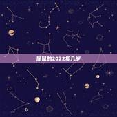 属鼠的2022年几岁，1984年鼠2022年运势