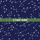 十二生肖一生运势，2021生肖运势大解析 十二生肖