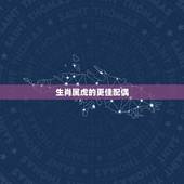 生肖属虎的更佳配偶，生肖属鸡的人一生命运