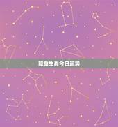 算命生肖今日运势，为什么世界上这么多东西可以左右运程？星座，生肖，八字