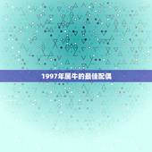 1997年属牛的最佳配偶，97年女生的最佳配偶