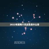 2022年属狗八月出生是什么命，属狗十月出生是什么命