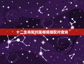 十二生肖配对属相婚姻配对查询，生肖配对查询