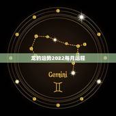 龙的运势2022每月运程，2022年生肖龙的全年运势
