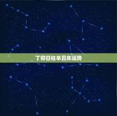 丁卯日柱辛丑年运势，丁卯日柱壬水清