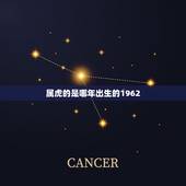 属虎的是哪年出生的1962，属虎的是几几年出生的？