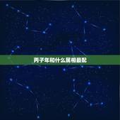 丙子年和什么属相最配，癸亥，甲子，丙子，辛酉，女命好吗？