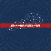 发财树一杆的好还是三杆的好，发财树是独杆好.还是大辫子好